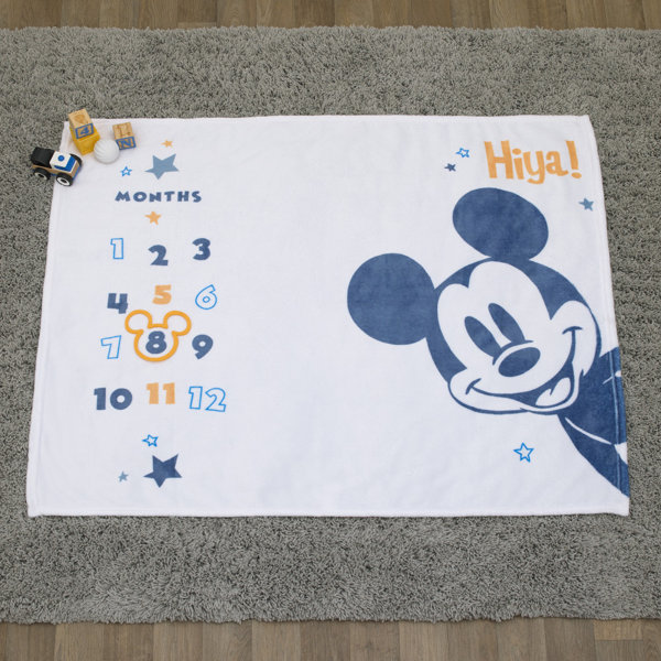 Disney Baby Blanket Wayfair